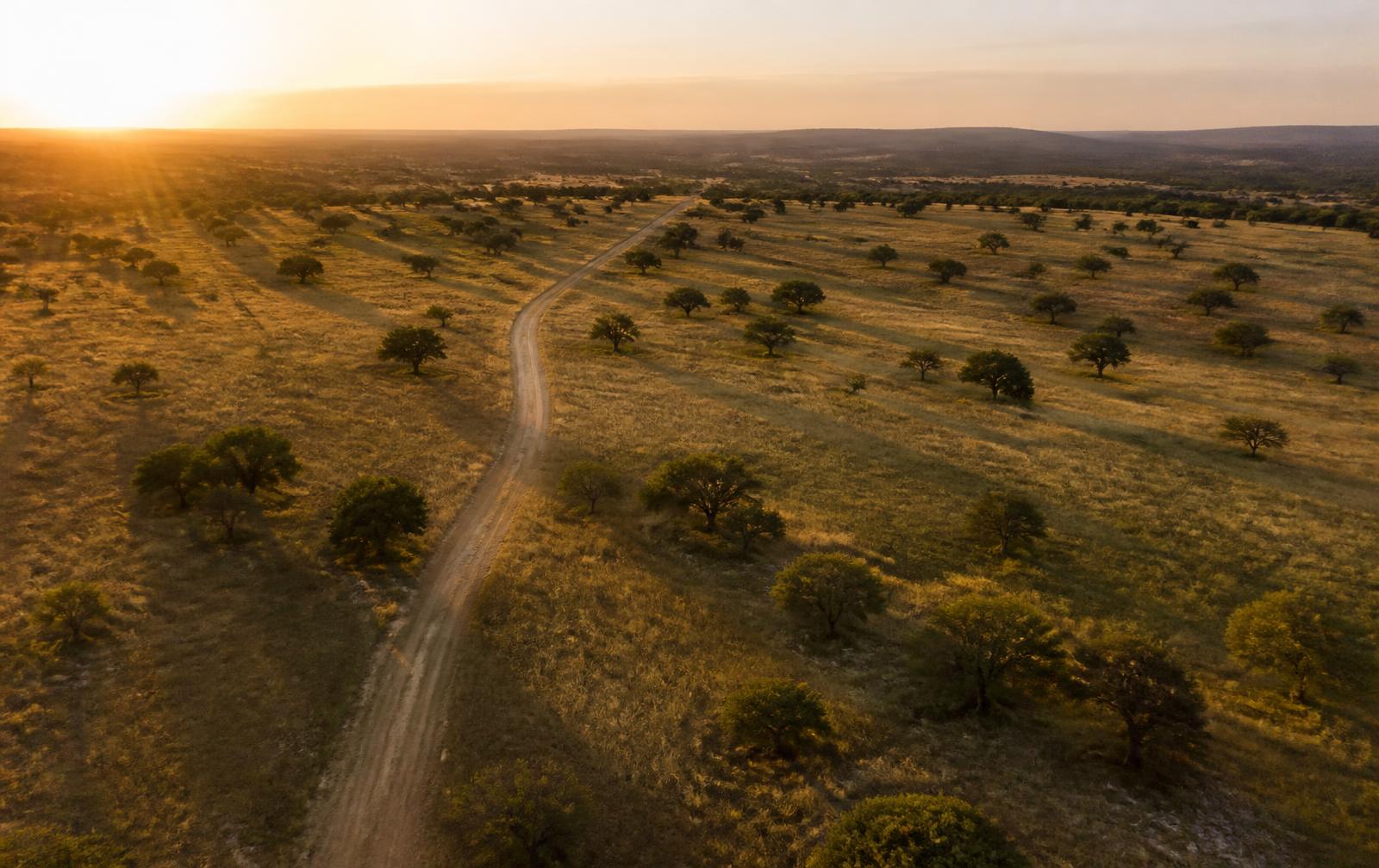 Aerial view of raw Texas prairie land with a dirt access road at sunrise